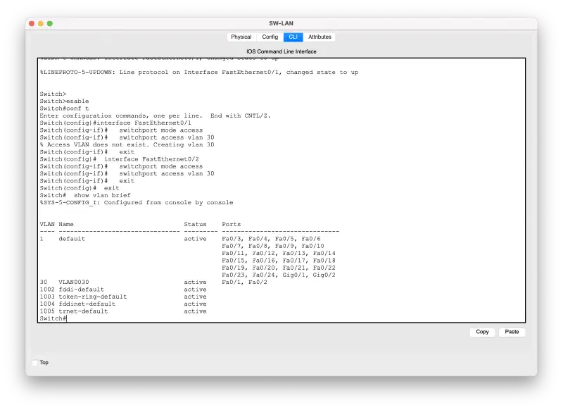 show vlan brief su SW-LAN